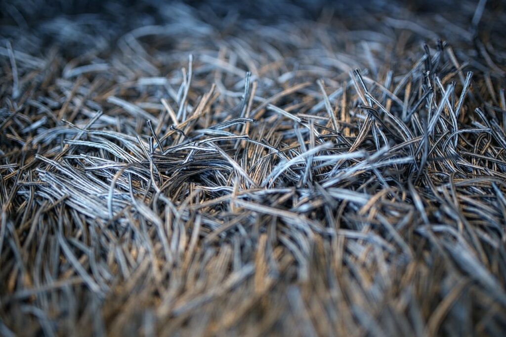 grey luxury carpet silver 5725 Abstract close-up of blue and brown textured fibers resembling carpet fringes.